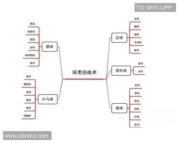 南京篮球队进攻体系解析：战术布局与球员配合的完美结合