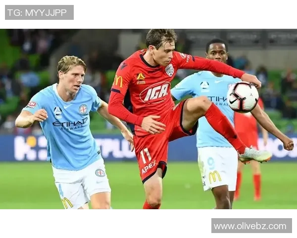 墨尔本篮球与足球明星综合排名揭晓谁将成为运动之王