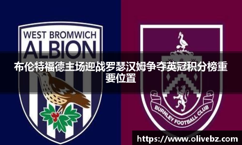布伦特福德主场迎战罗瑟汉姆争夺英冠积分榜重要位置
